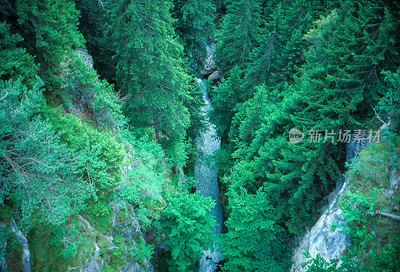 1989年旧的正片扫描，看到Alora深谷，Albula Alvra，瑞士